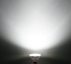 LED reflektor E27 PAR38, 15 W hladna bela svetloba, 2 kosa