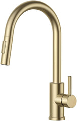 FORIOUS Kuhinjska Pipa, 360° Raztegljiva, Zlata