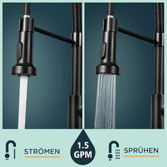 FORIOUS Kuhinjska Pipa, Visokotlačna, 360° Vrtljiva, Črna