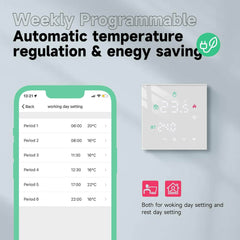 BEOK CONTROLS pametni WiFi termostat za plinske in vodne kotle