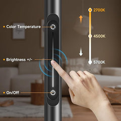 LED stoječa svetilka z upogljivim vratom črna