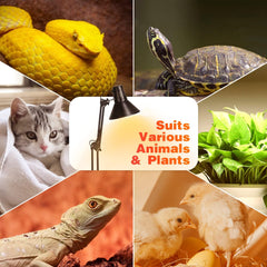 Nastavljivo stojalo za grelno terarijsko svetilko