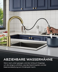 FORIOUS Kuhinjska Pipa z Raztegljivim Tušem, 360° Vrtljiva, Brušeno zlata