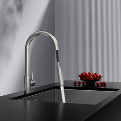 Rainsworth Nikelj Kuhinjska Pipa, Raztegljiva, 360° Rotacija