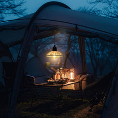 Viseča zunanja svetilka na baterije s senčnikom