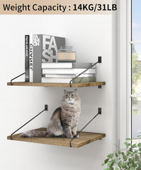 Stenska polica iz masivnega lesa 30 cm globine z nosilci