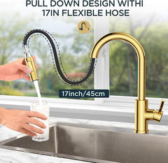 FORIOUS Kuhinjska Pipa, 360° Raztegljiva, Zlata