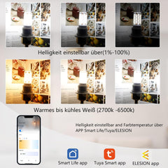 Pametna Wi-Fi LED žarnica E27, nastavljiva svetloba - 3 kosi