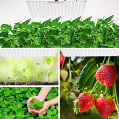 LED svetilka za rastline 800 W s funkcijo zatemnitve