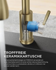 FORIOUS Kuhinjska Pipa z Raztegljivim Tušem, 360° Vrtljiva, Brušeno zlata