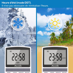 Digitalna tedenska in dnevna vtičnica s časovnikom - 1 kos