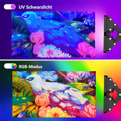 UV in RGB barvna svetilka, DJ reflektor za zabave