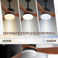 CAINJIAZH stropni ventilator z lučjo in daljinskim upravljalnikom