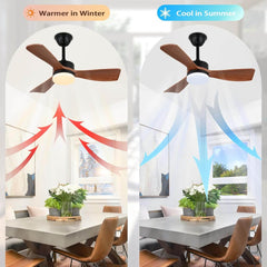 CAINJIAZH stropni ventilator z lučjo in daljinskim upravljalnikom